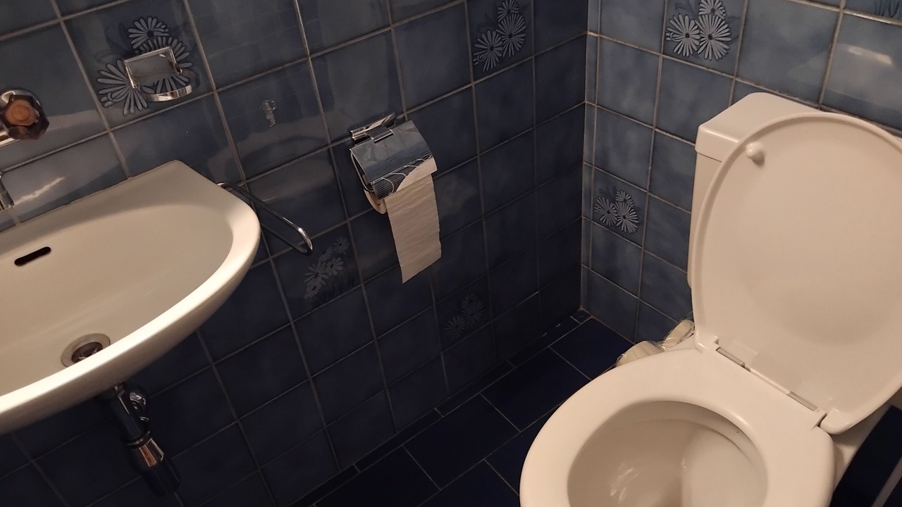 Photo of Bathroom in Les Acacias