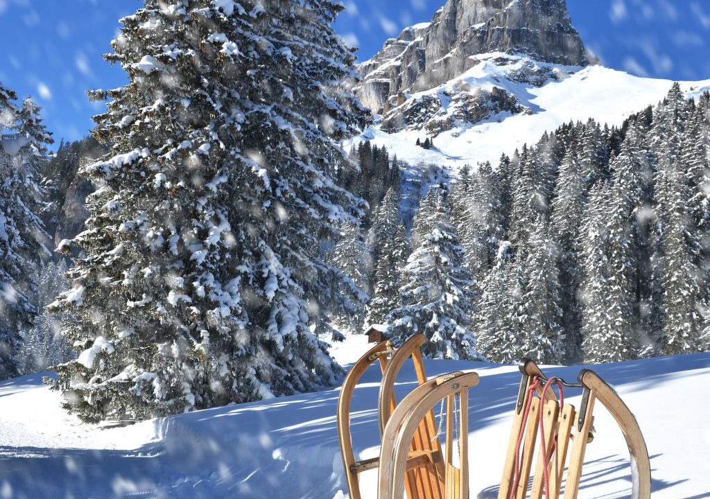 Photo of Others in Davos-Dorf