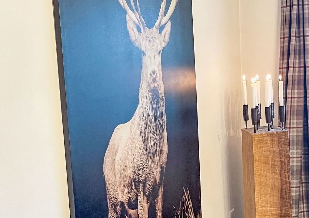 Photo of Others in Laax