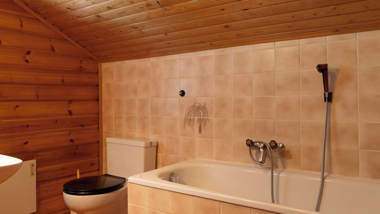 Photo of Bathroom in Les Mayens-de-Sion