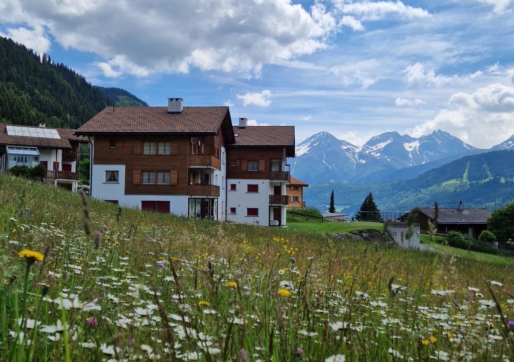 Photo of Others in Sedrun