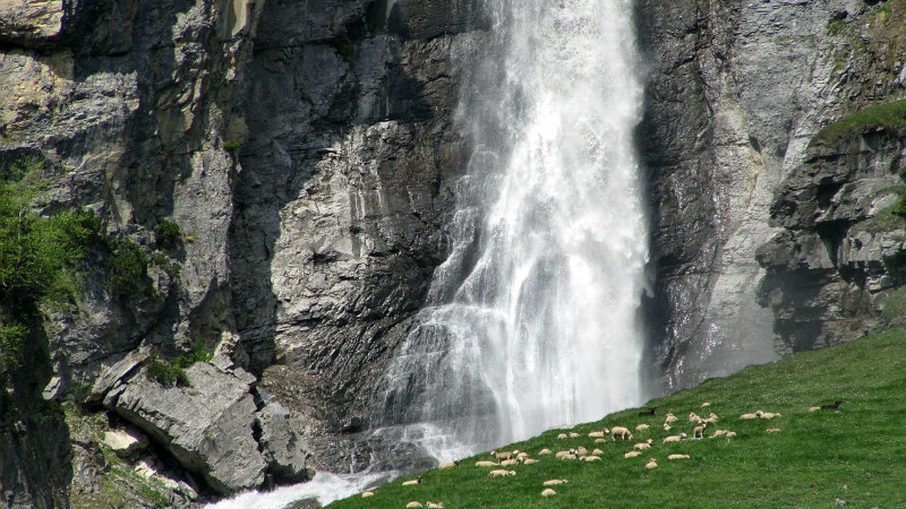 Photo of Others in Tavanasa