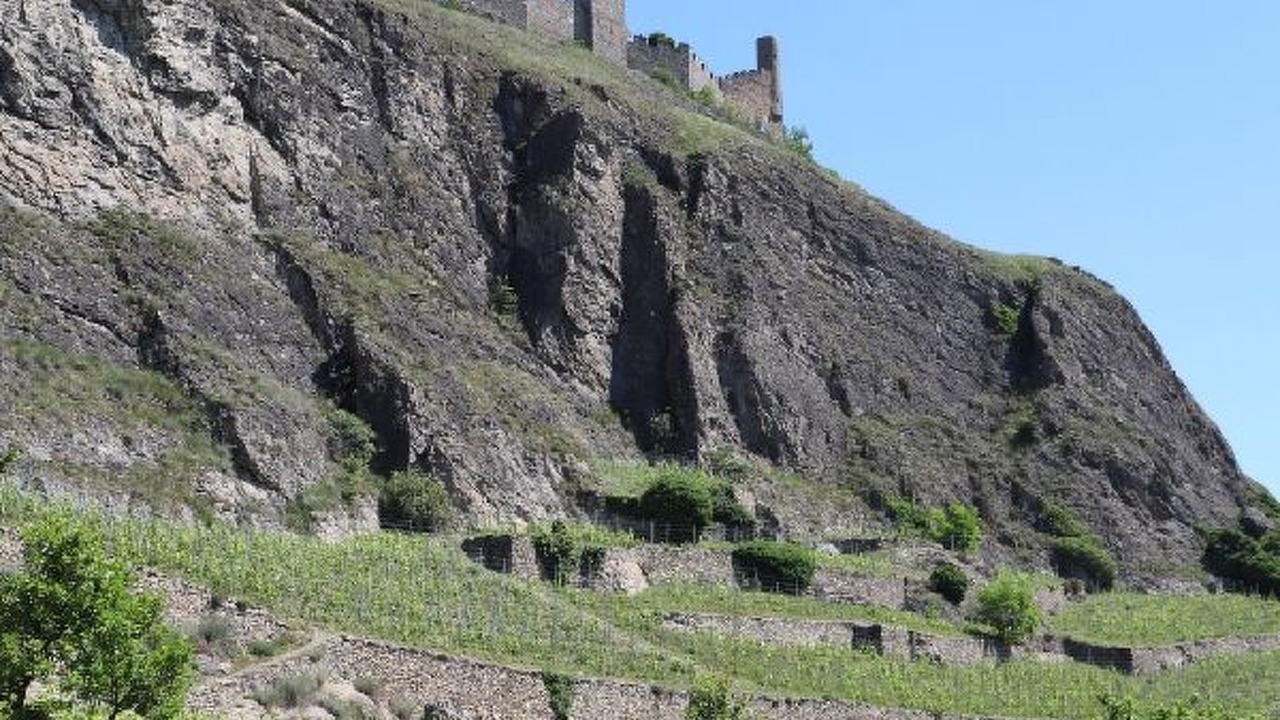 Photo of Others in Sion
