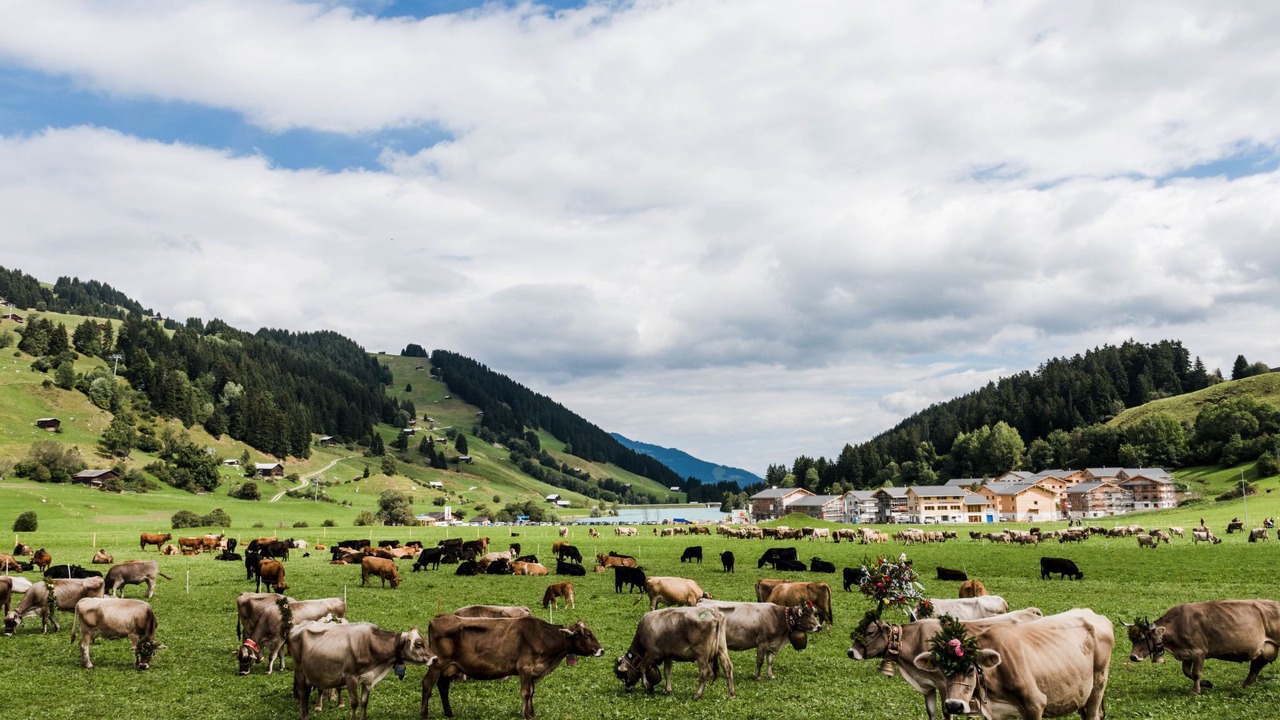 Photo of Others in Tavanasa