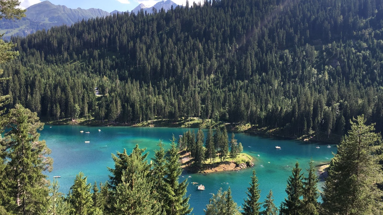 Photo of Others in Laax