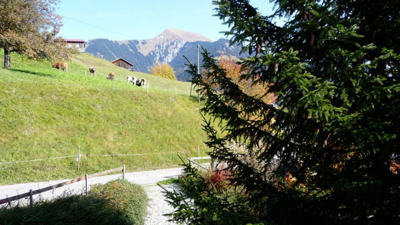 Photo of Others in Seewis im Prattigau
