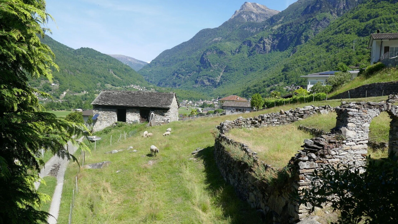 Photo of Others in Malvaglia