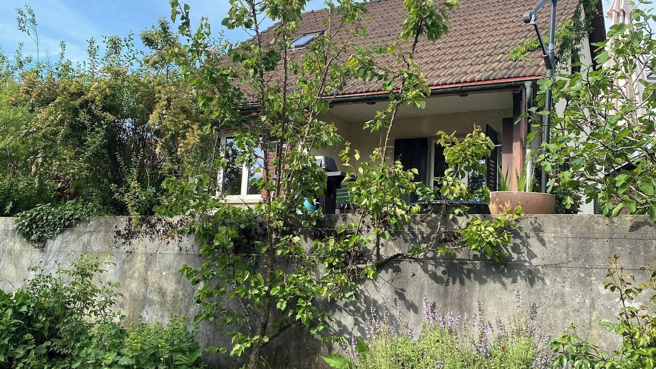 Photo of Outdoor in Meilen District