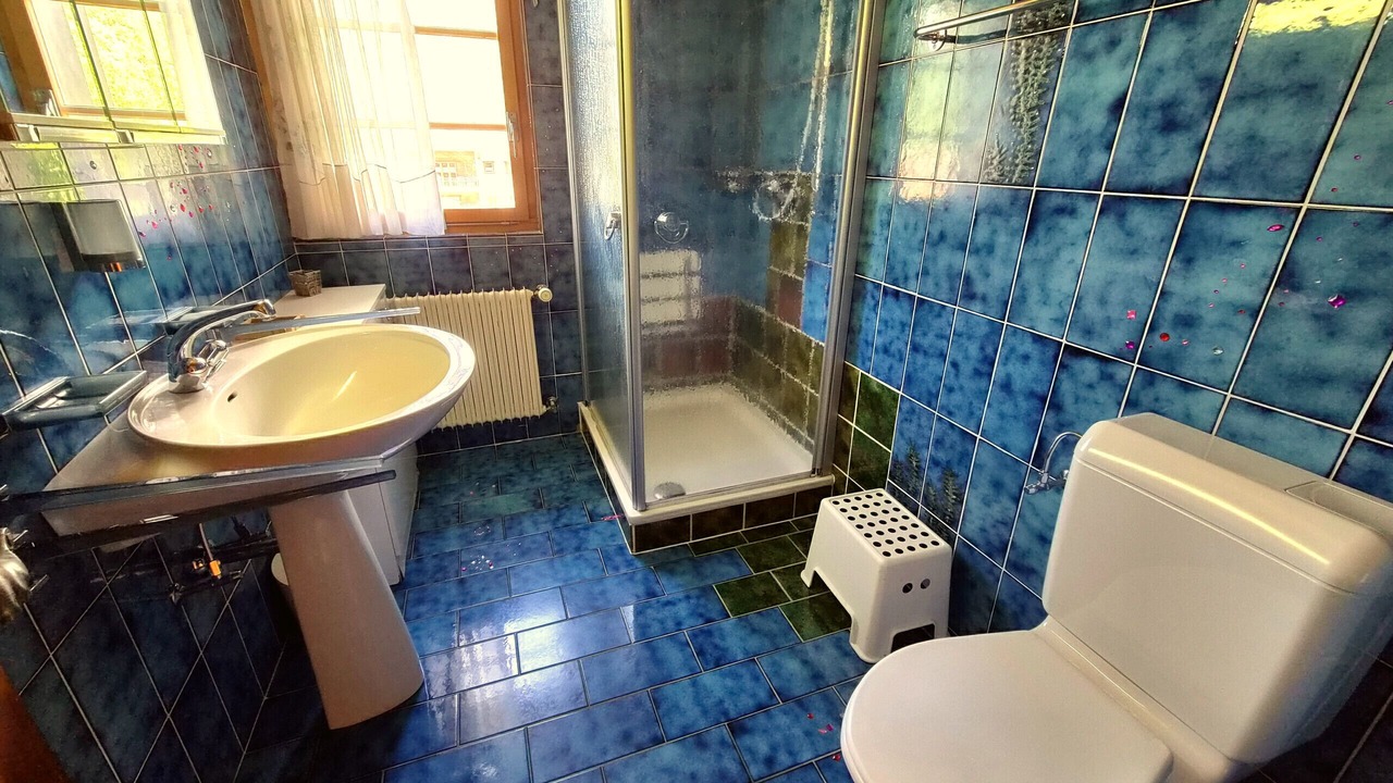 Photo of Bathroom in Hauderes
