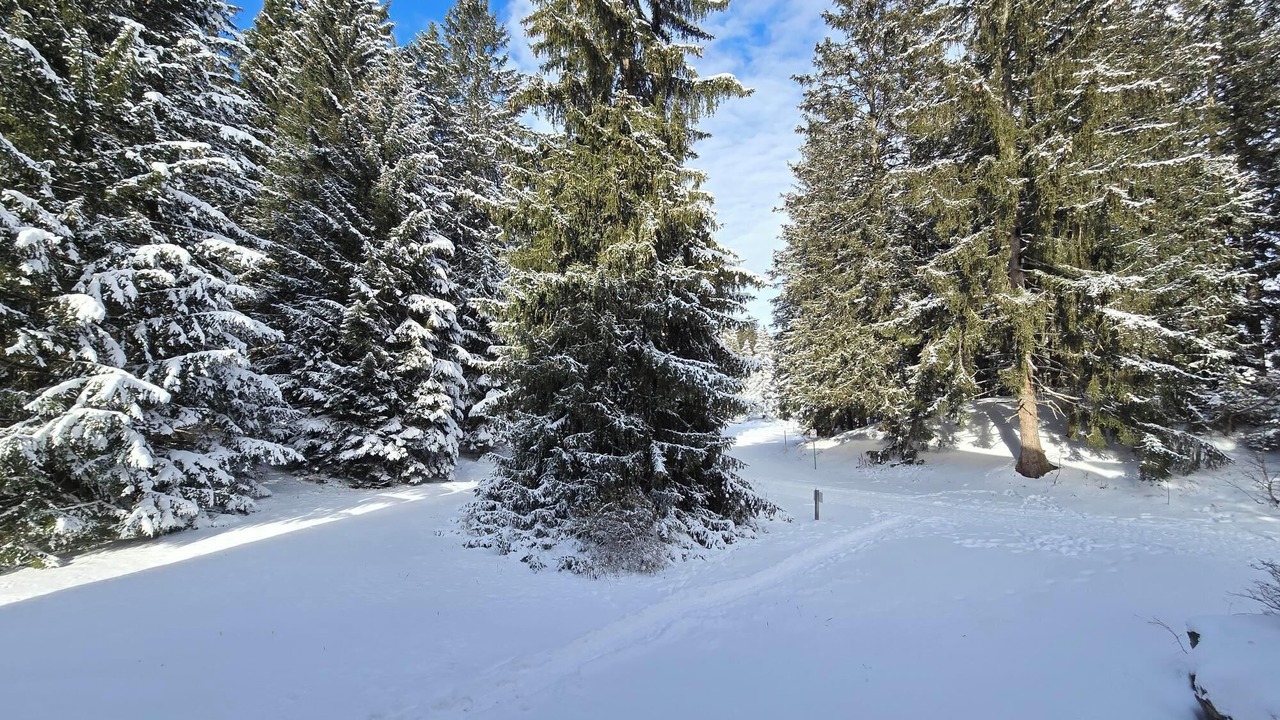 Photo of Others in Lenzerheide