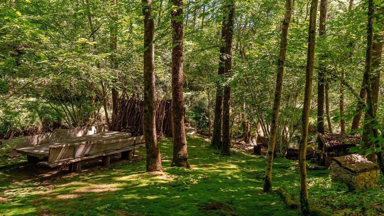 Photo of Outdoor in Cadegliano-Viconago
