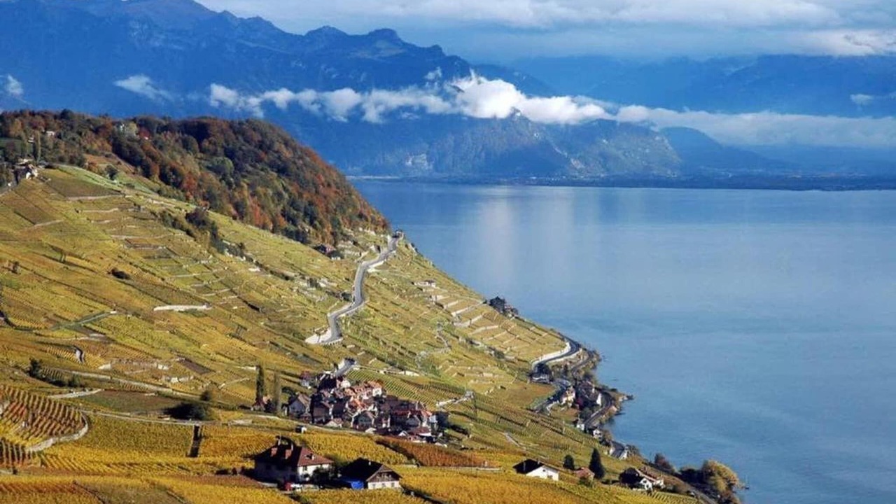 Photo of Others in Montreux