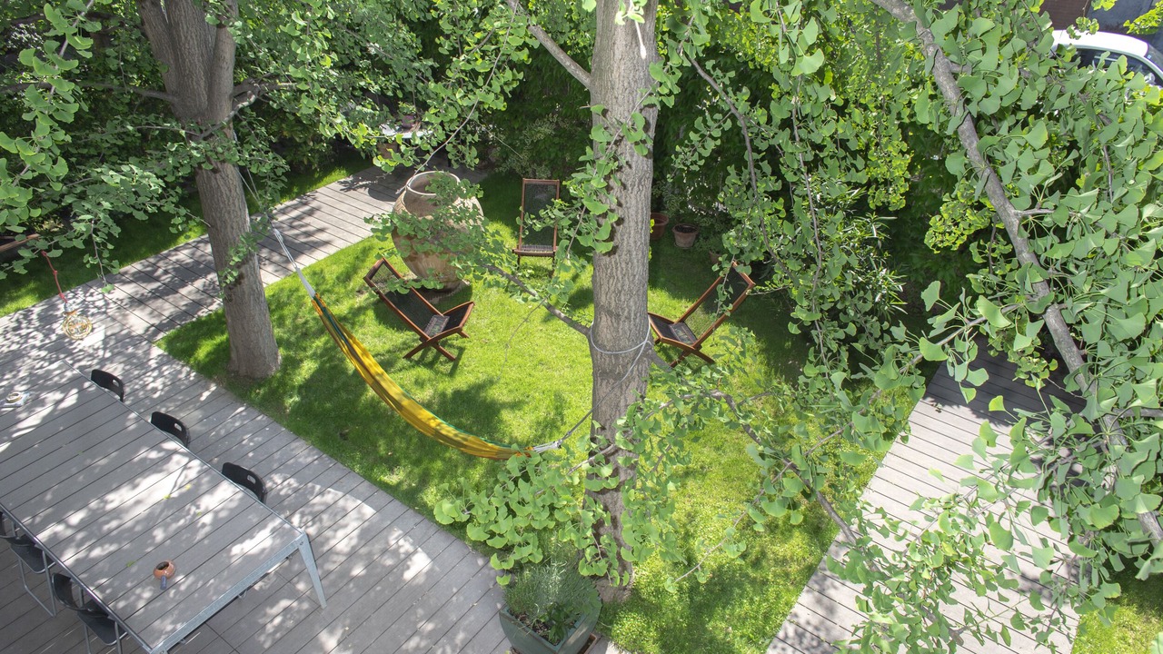 Photo of Outdoor in Foppette