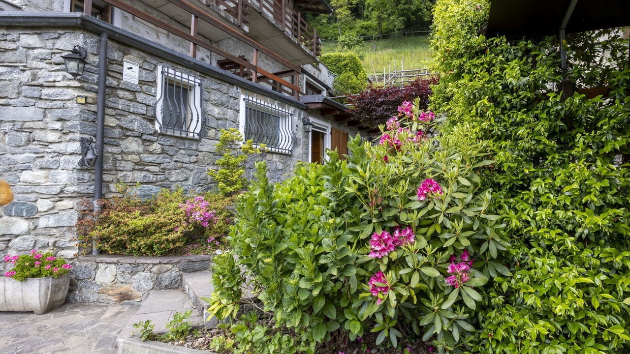 Photo of Outdoor in Valtellina