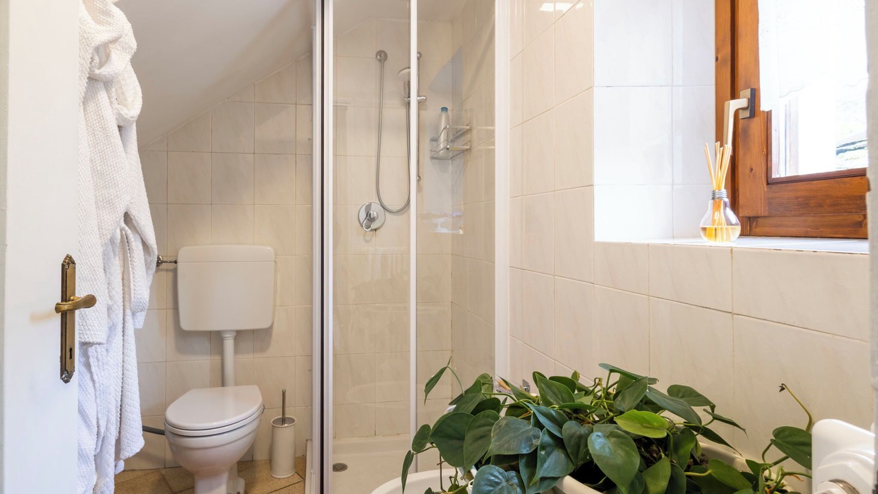Photo of Bathroom in Valtellina