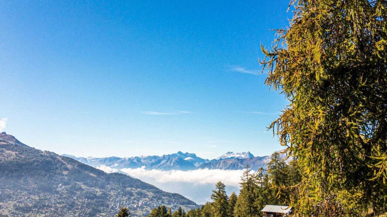 Photo of Others in Nendaz