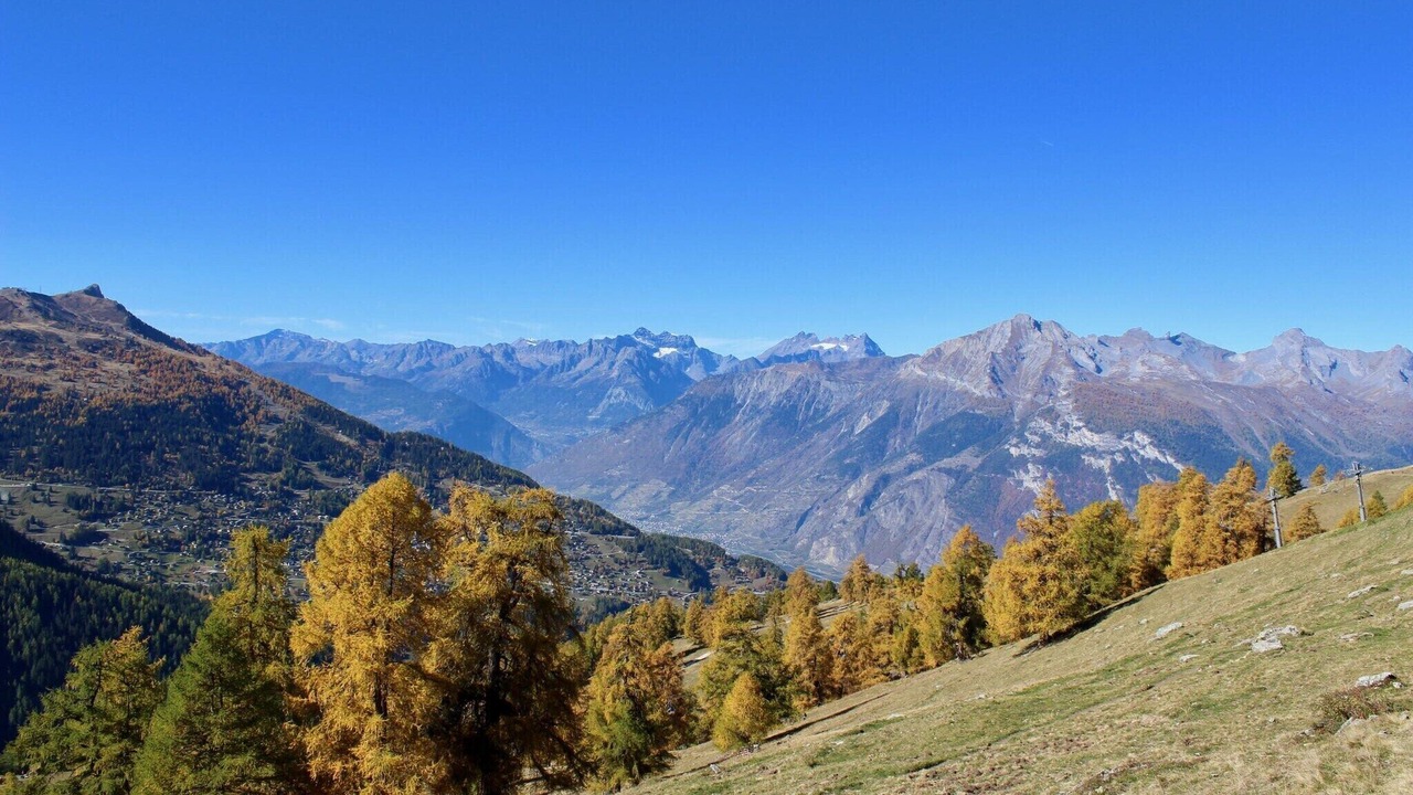Photo of Others in Nendaz