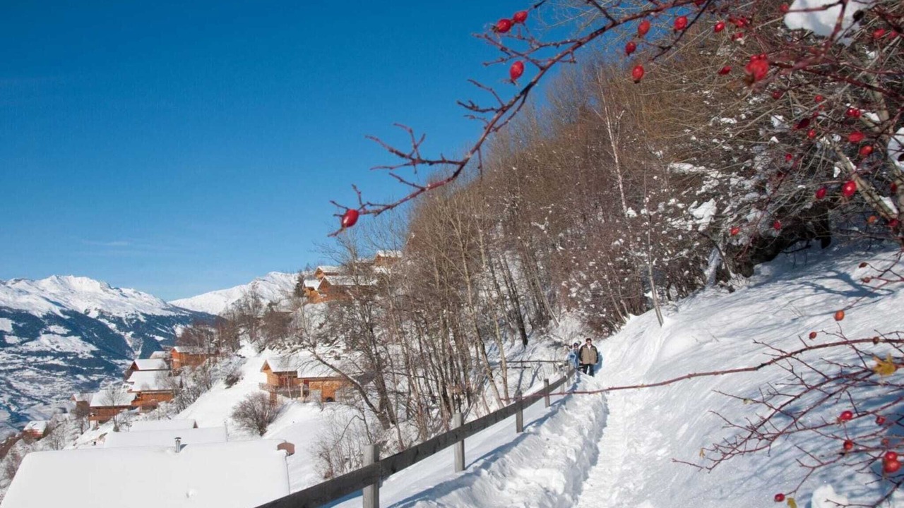 Photo of Others in Nendaz