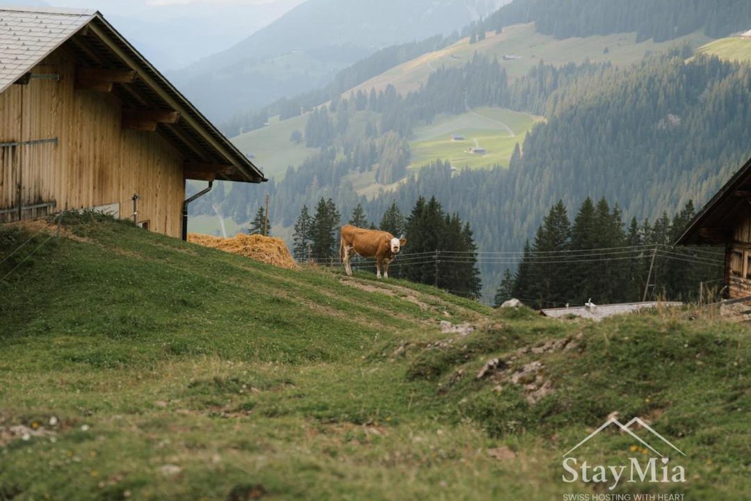 Photo of Others in Reutigen