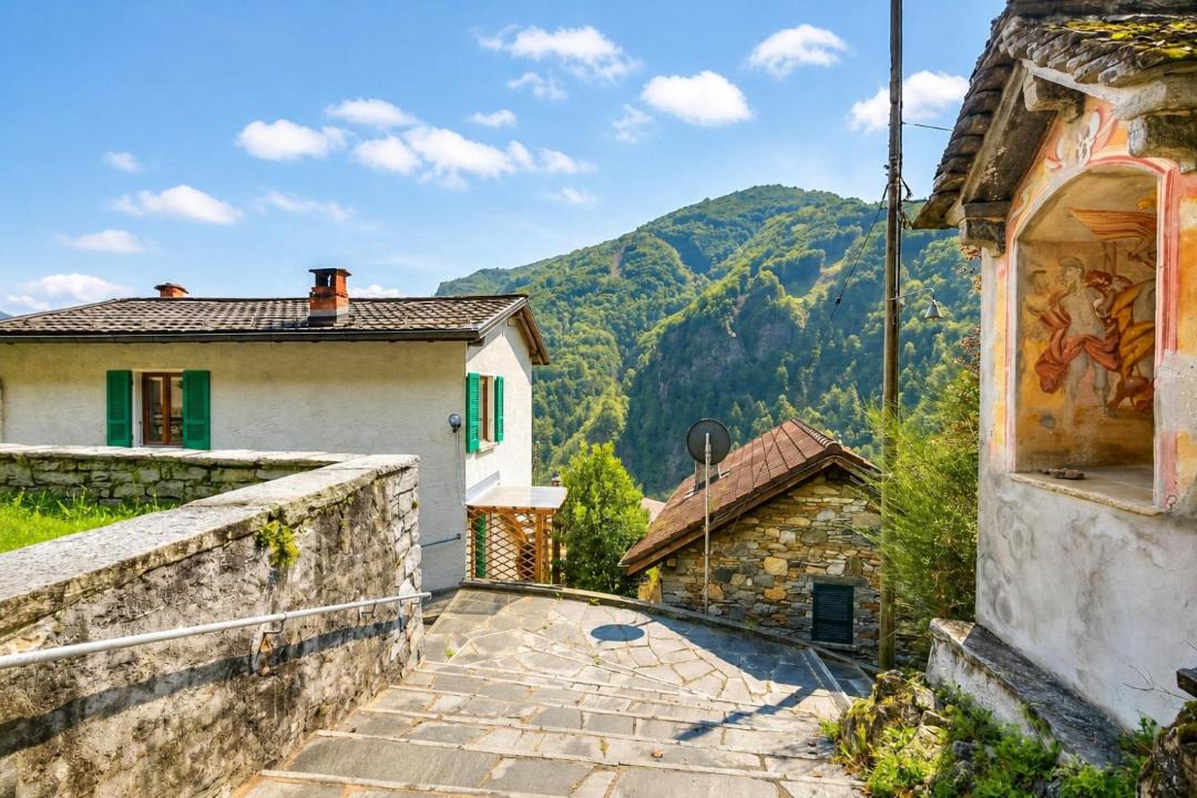 Photo of Others in Camedo