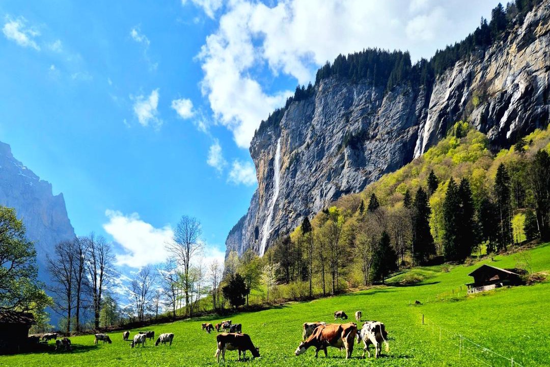 Photo of Others in Lauterbrunnen