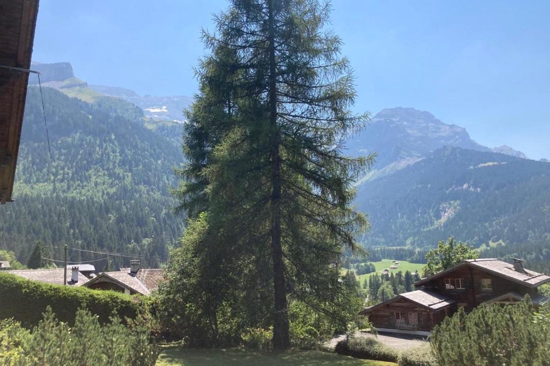 Photo of Others in Ormont-Dessus