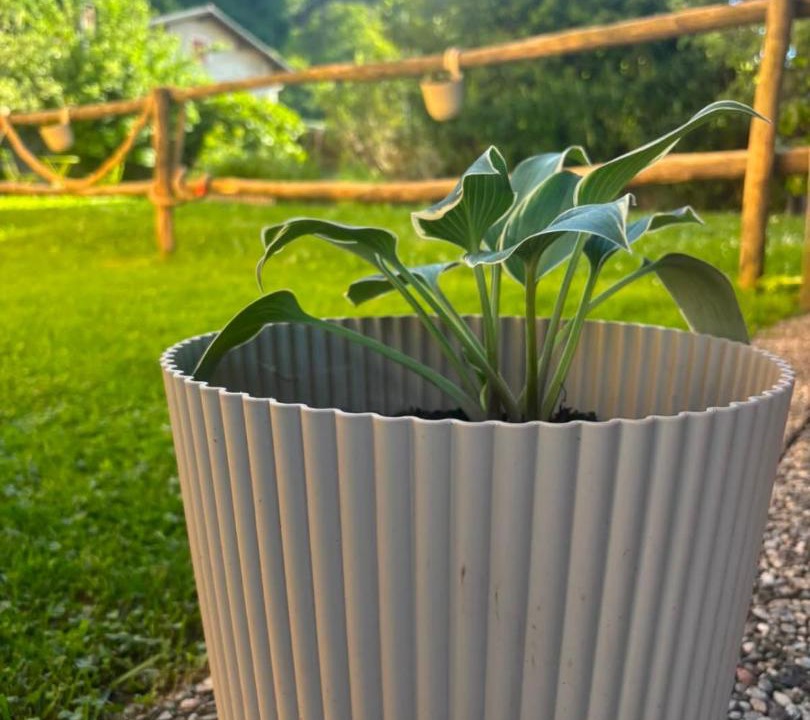 Photo of Outdoor in Vira