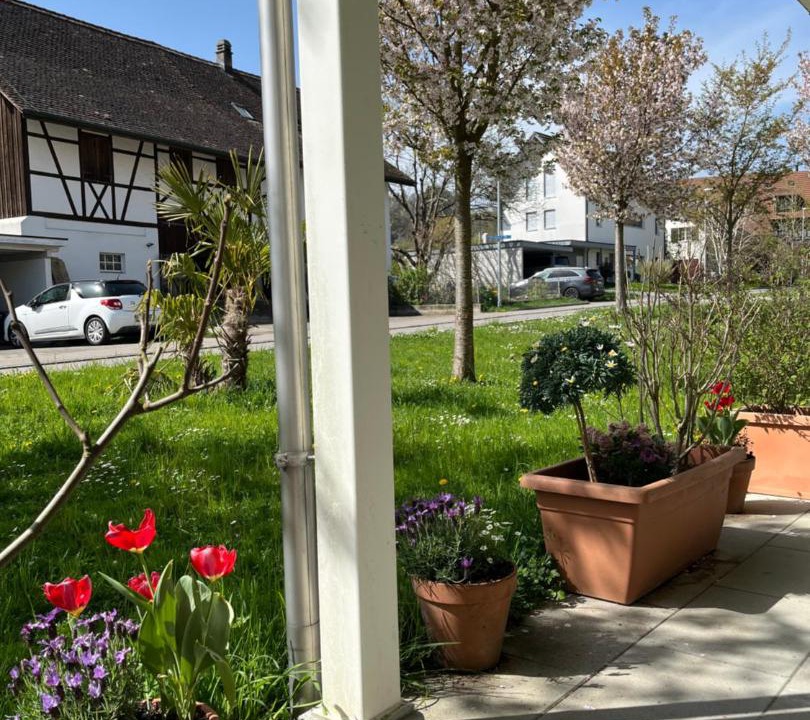 Photo of Others in Schneisingen