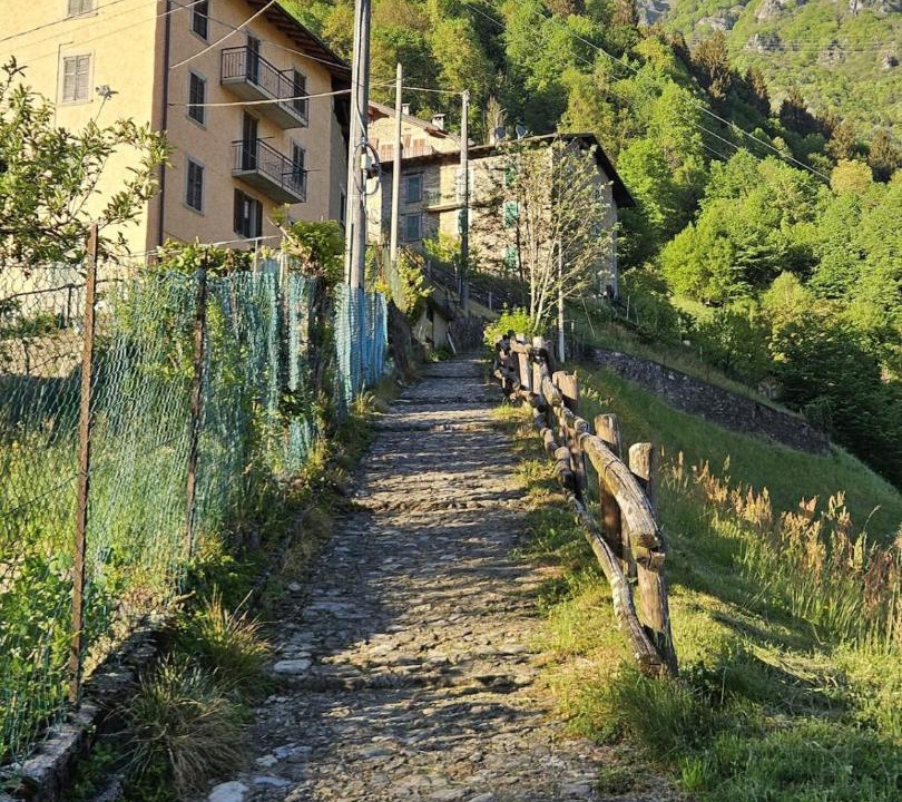 Photo of Others in Averara
