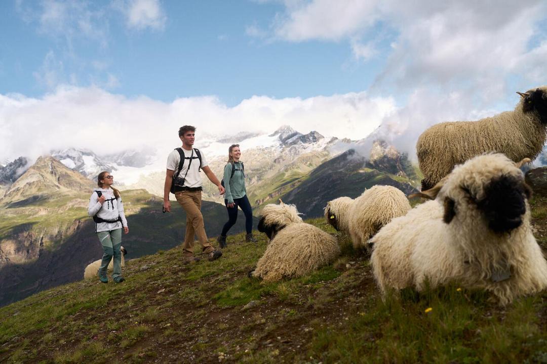 Photo of Others in Zermatt