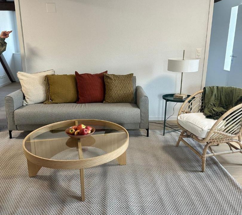 Photo of Livingroom in Horgen District