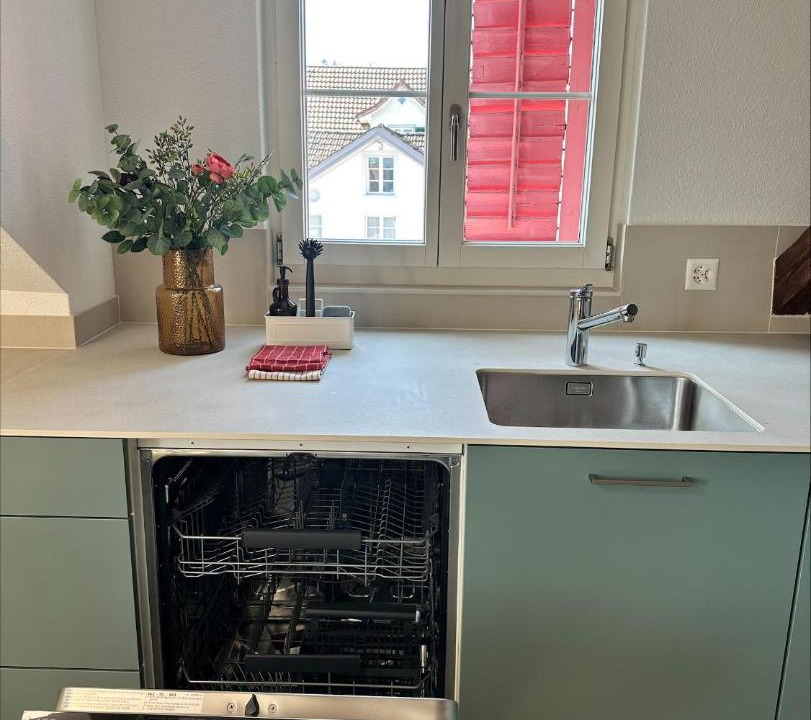 Photo of Kitchen in Horgen District