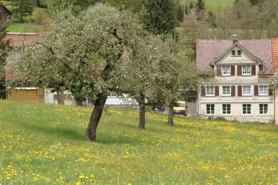 Photo of Others in Degersheim