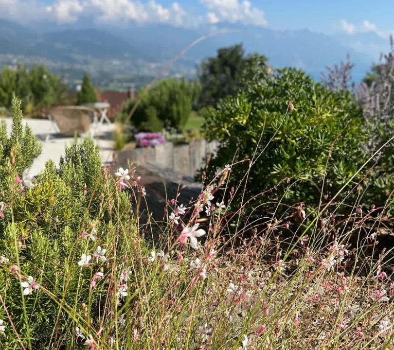 Photo of Others in Chardonne