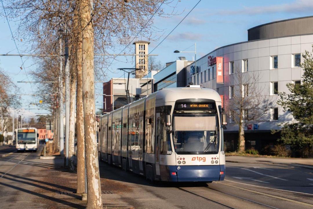 Photo of Others in Lancy