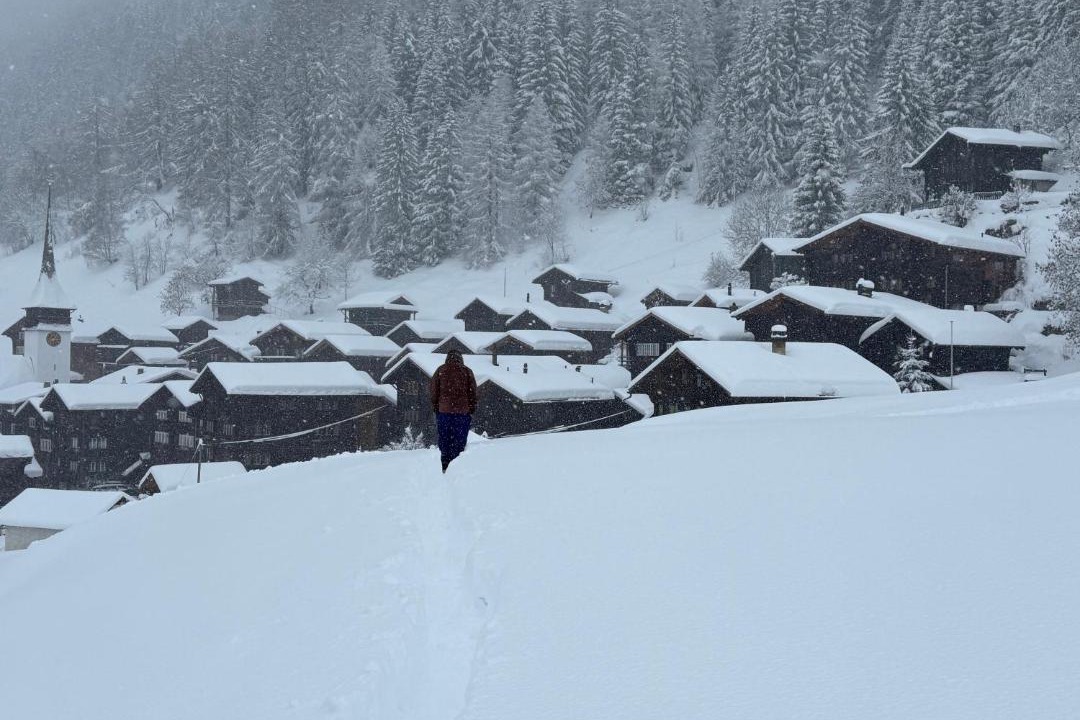 Photo of Others in Niederwald