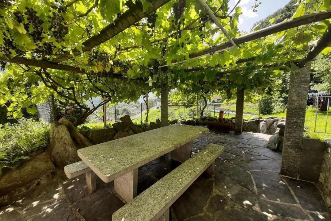 Photo of Others in Negrentino