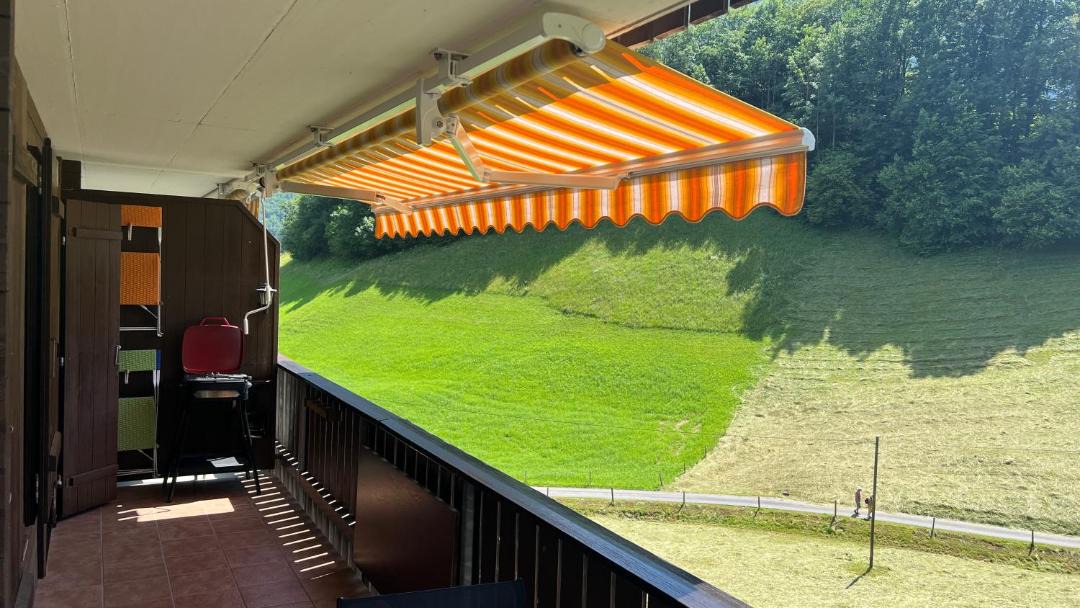 Photo of Others in Lungern
