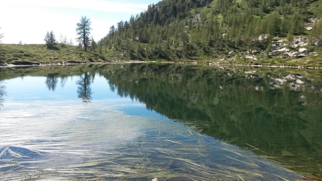 Photo of Others in Onsernone