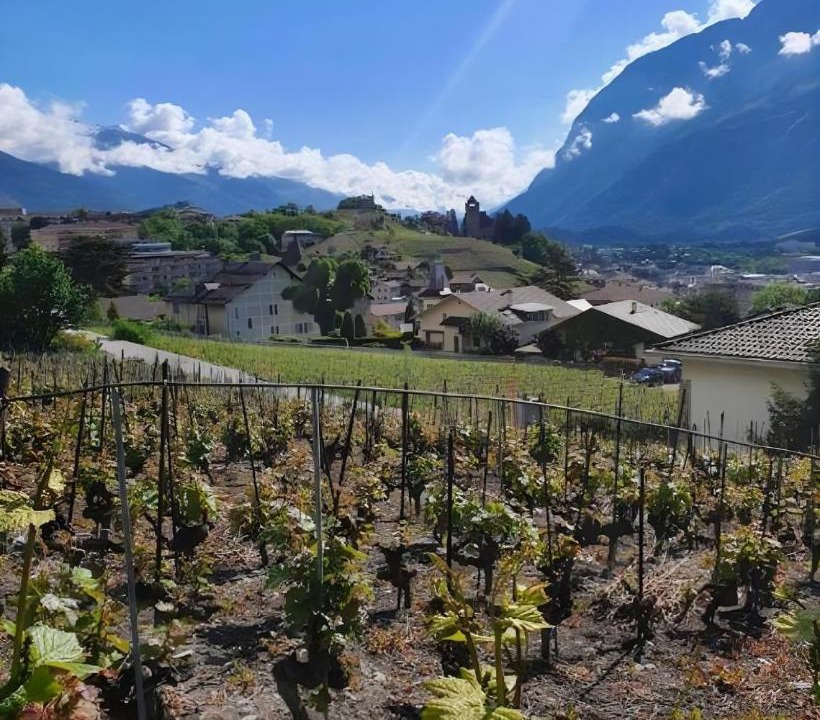 Photo of Others in Sierre