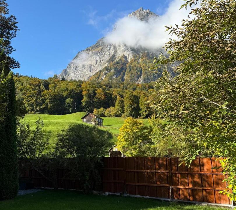 Photo of Others in Glarus Sued