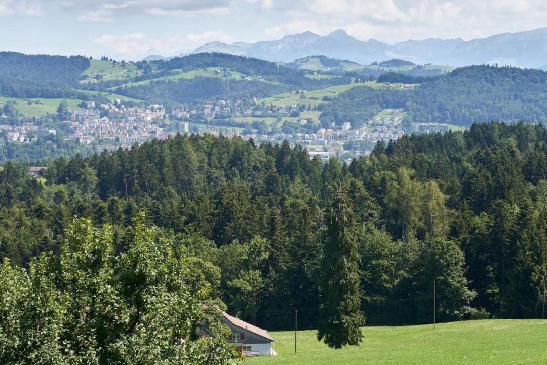 Photo of Others in Gaiserwald