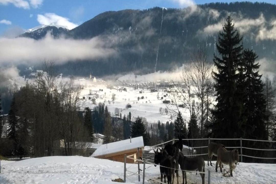 Photo of Others in Fiesch