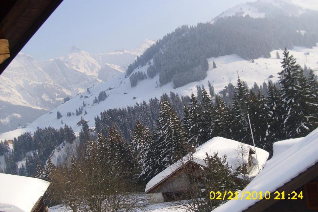 Photo of Others in Adelboden