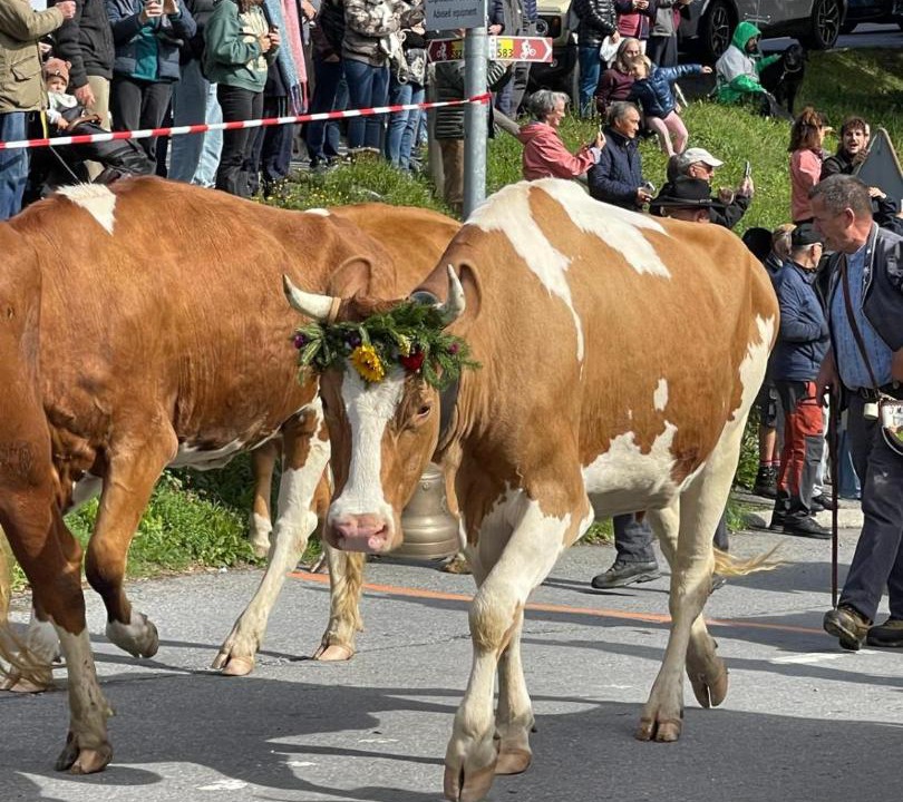 Photo of Others in Barboleusaz