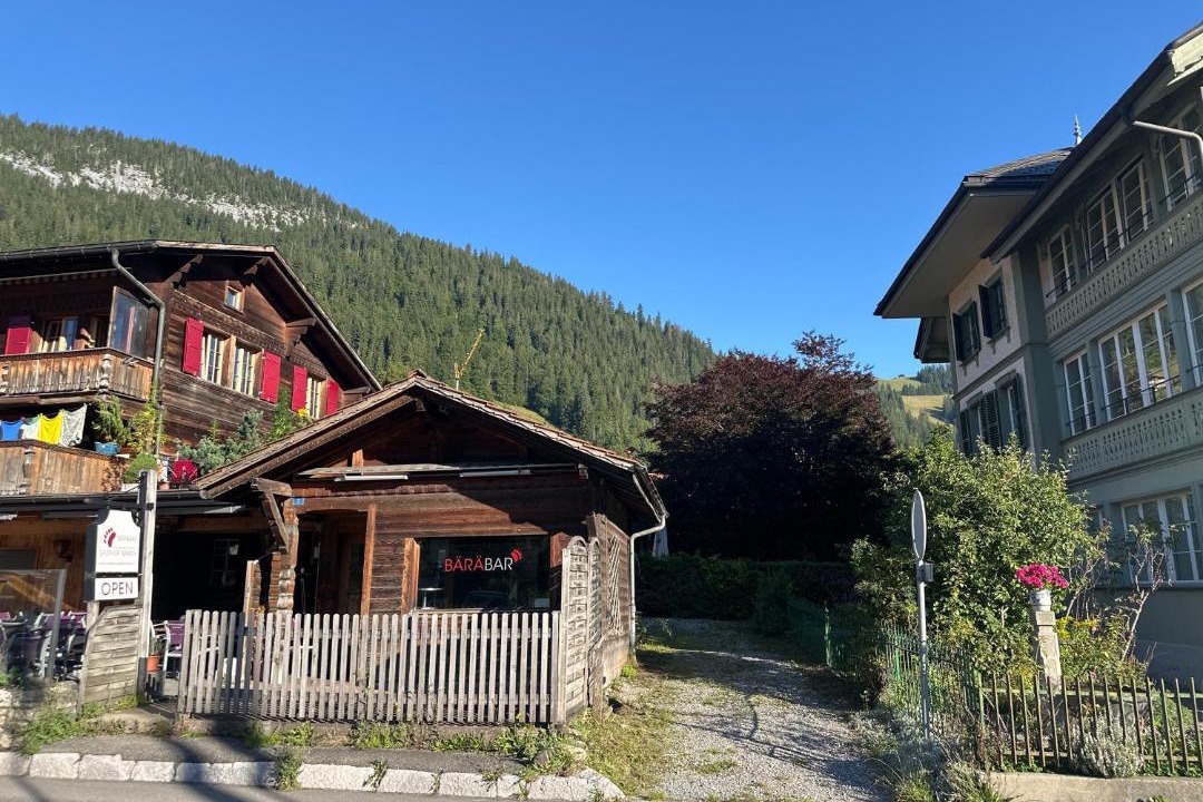 Photo of Others in Zweisimmen
