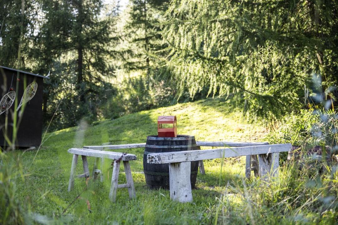 Photo of Others in Engadin Scoul