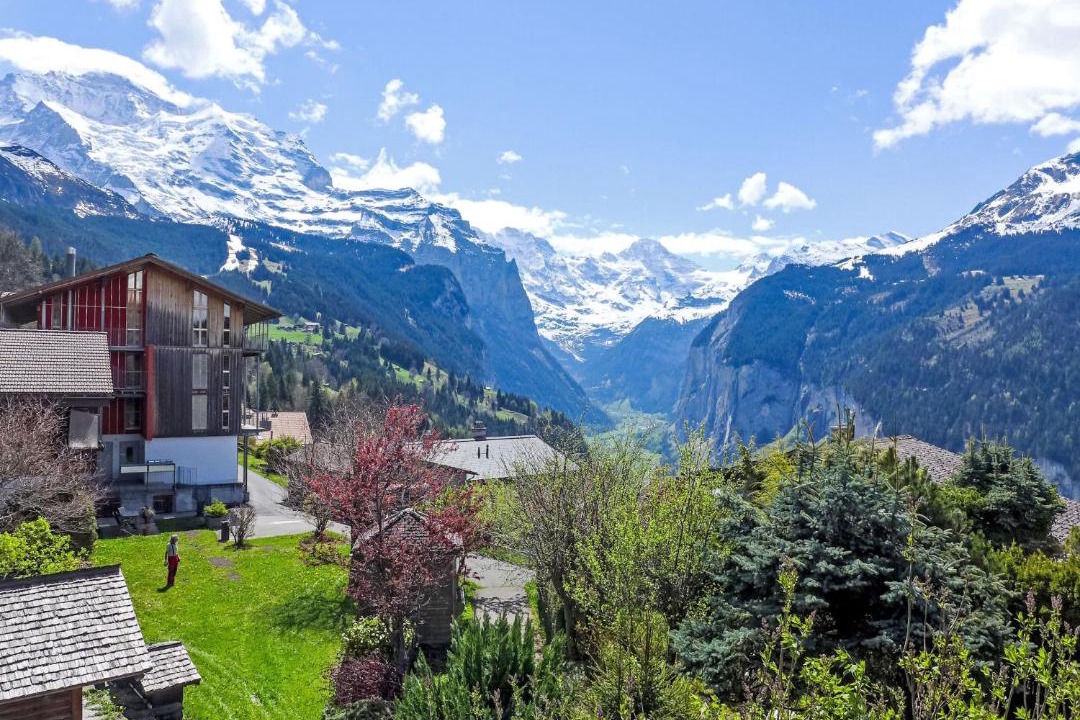 Photo of Others in Wengen