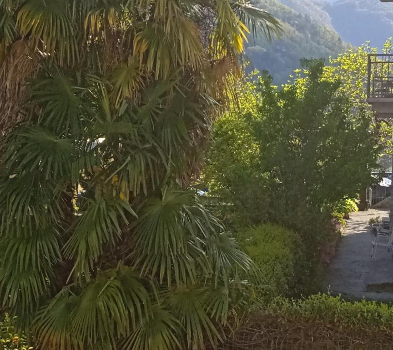Photo of Others in Cavigliano