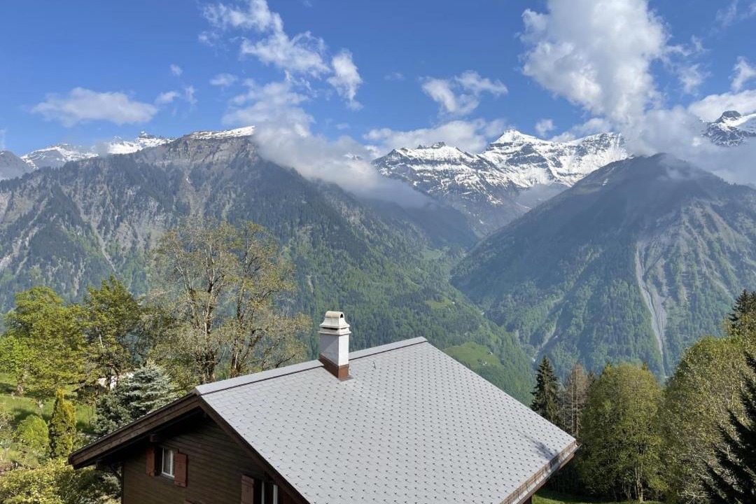 Photo of Others in Braunwald